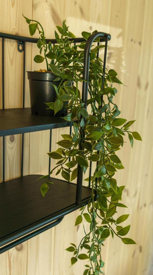 Lilleeideholmen Sjohusutleie Apartment Haug ภายนอก รูปภาพ